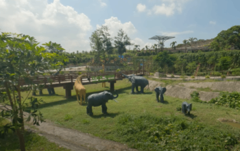 Zoo Philippines - Clark Safari - Island Times