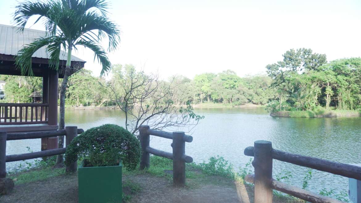 The Ninoy Aquino Parks and Wildlife Center in QC
